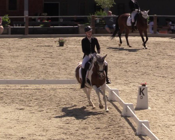 Reitturnier Uder, Reitanlage Kobold 2025