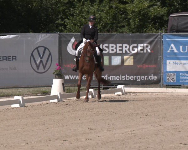 Reitturnier Heiligenwald 2025