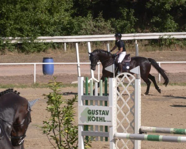 Reitturnier Heiligenwald 2025