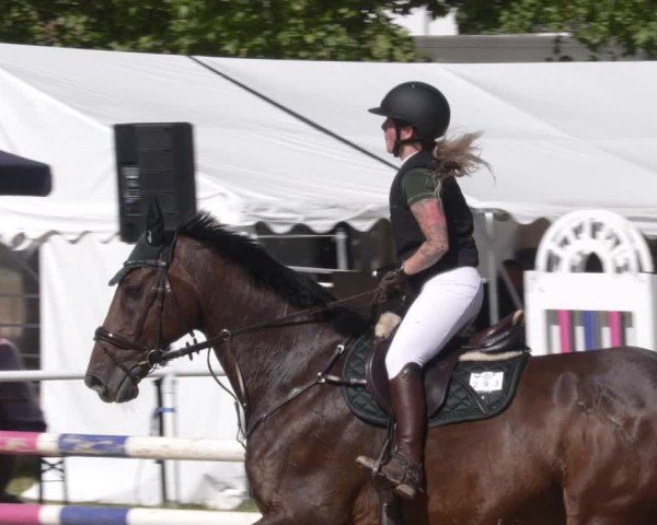 Reitturnier Heiligenwald 2025