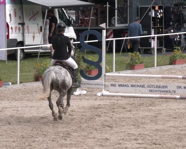 Springturnier Seewalchen 2025