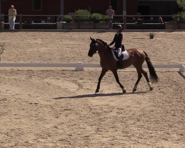 Reitturnier Uder, Reitanlage Kobold 2025