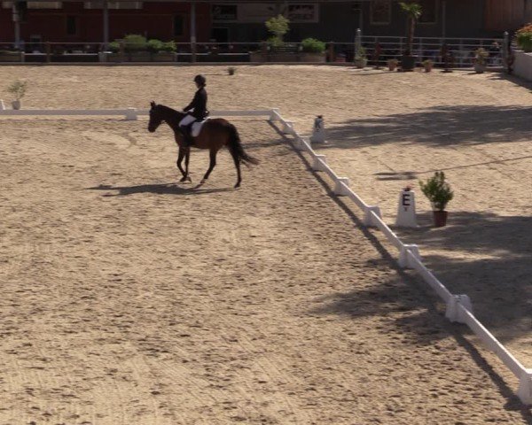 Reitturnier Uder, Reitanlage Kobold 2025