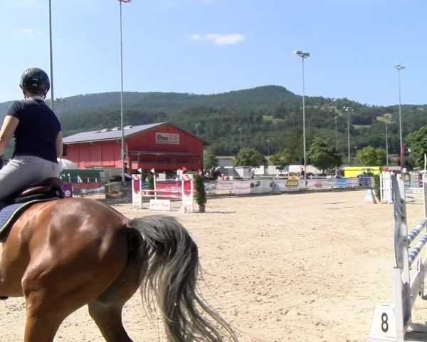 Reitturnier Balsthal 2025