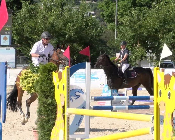 Reitturnier Balsthal 2025