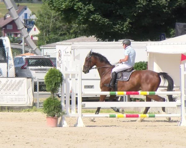 Reitturnier Balsthal 2025