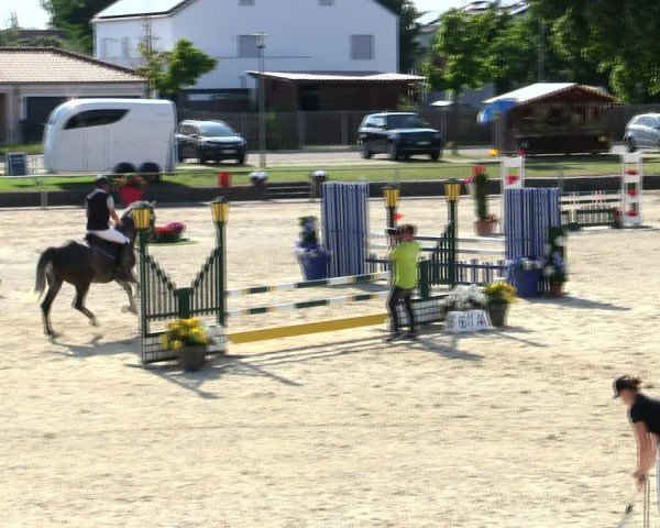 Reitturnier Ingolstadt-Hagau/Obb. 2025
