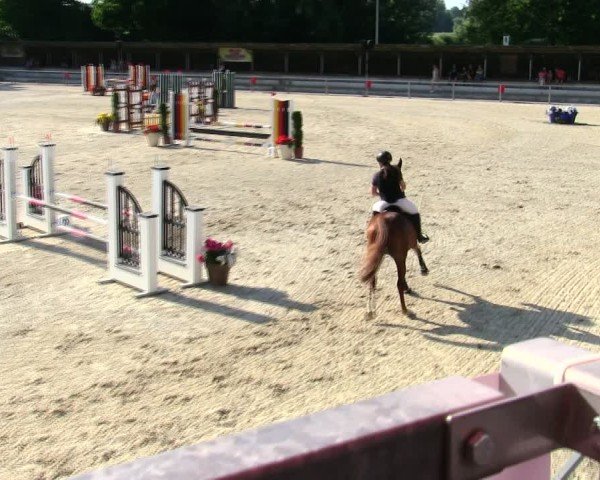 Reitturnier Ingolstadt-Hagau/Obb. 2025