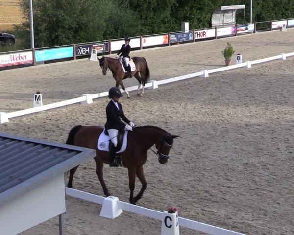 Reitturnier Uder, Reitanlage Kobold 2025