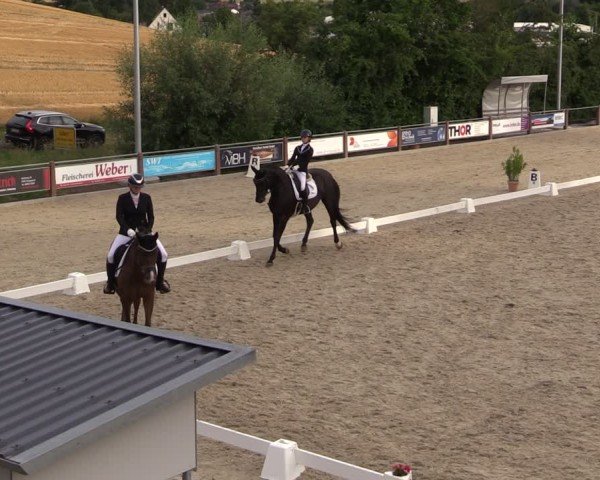 Reitturnier Uder, Reitanlage Kobold 2025