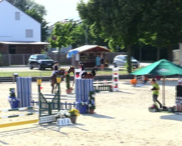 Reitturnier Ingolstadt-Hagau/Obb. 2025