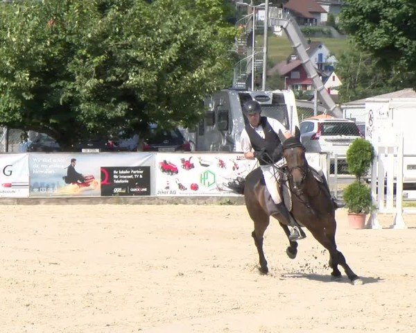 Reitturnier Balsthal 2025