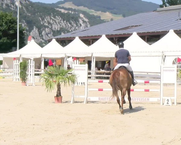 Reitturnier Balsthal 2025