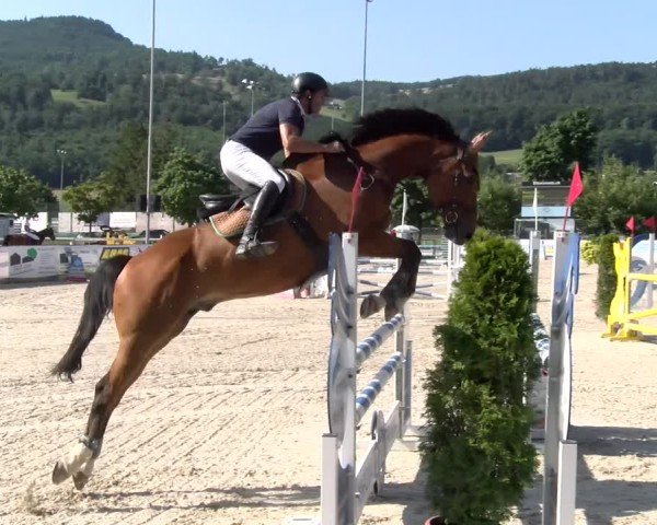 Reitturnier Balsthal 2025