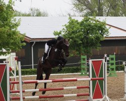jumper Elliot 144 (unknown, 2013)