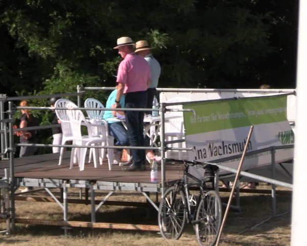 Reitturnier Niederwerbig 2025