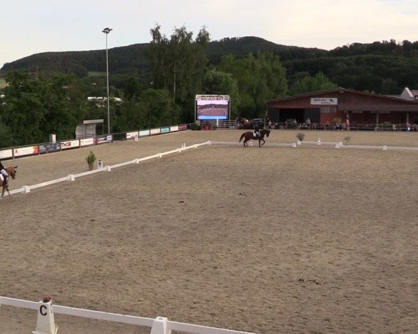 Reitturnier Uder, Reitanlage Kobold 2025