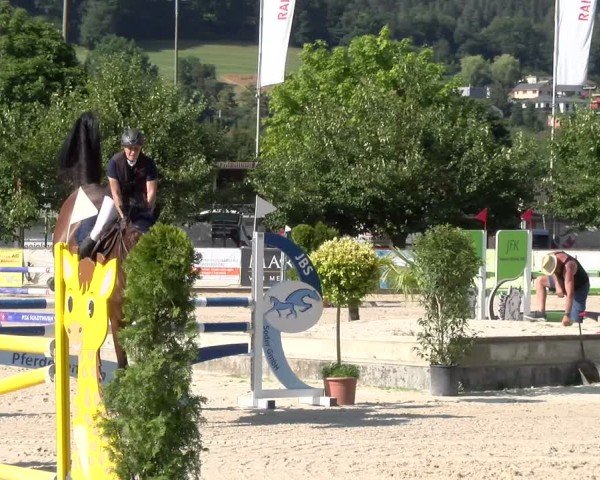 Reitturnier Balsthal 2025