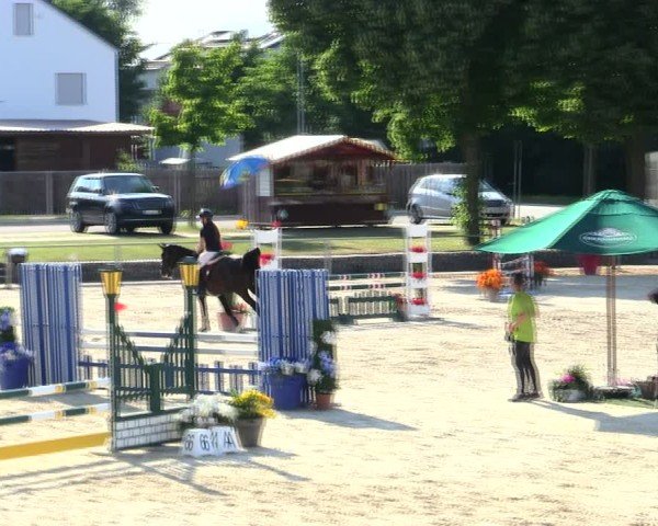 Reitturnier Ingolstadt-Hagau/Obb. 2025