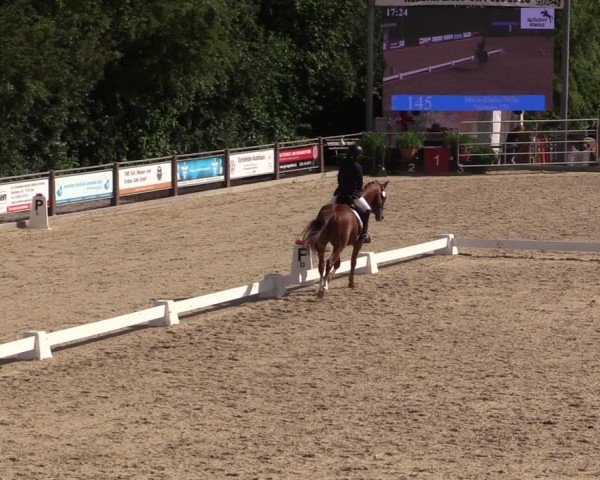 Reitturnier Uder, Reitanlage Kobold 2025