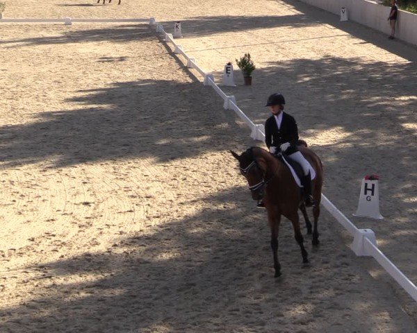 Reitturnier Uder, Reitanlage Kobold 2025