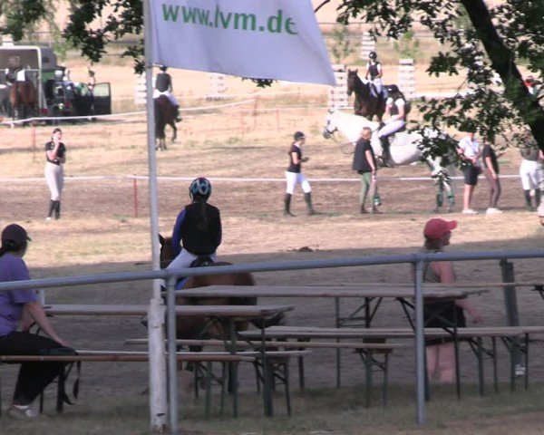 Reitturnier Niederwerbig 2025