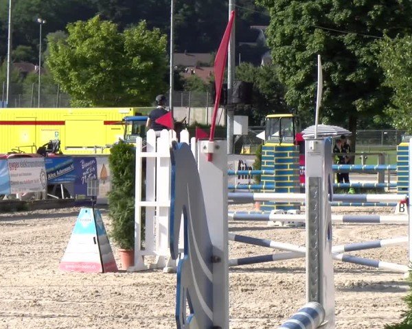 Reitturnier Balsthal 2025