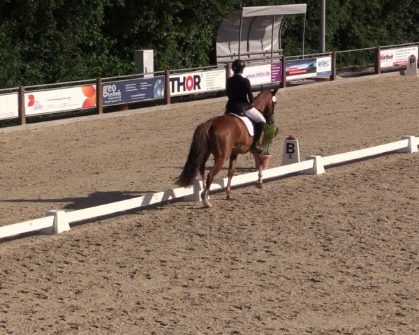 Reitturnier Uder, Reitanlage Kobold 2025