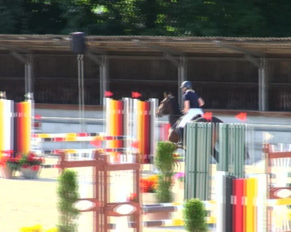 Reitturnier Ingolstadt-Hagau/Obb. 2025