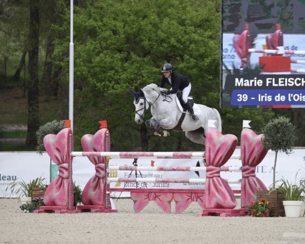 jumper Iris de L'Oiseliere (Selle Français, 2018, from Padock du Plessis)