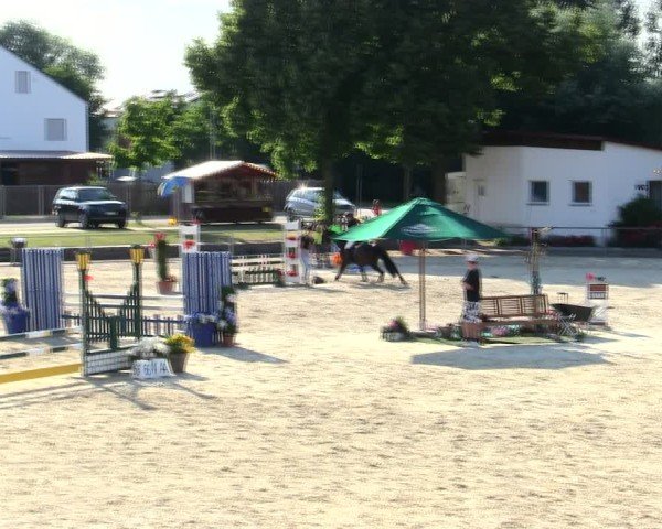 Reitturnier Ingolstadt-Hagau/Obb. 2025