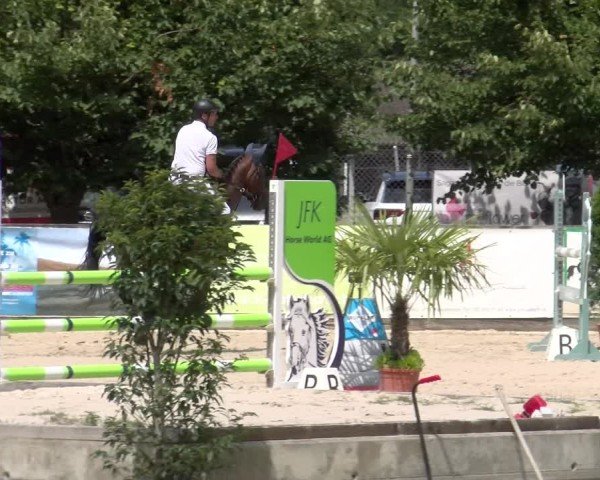 Reitturnier Balsthal 2025