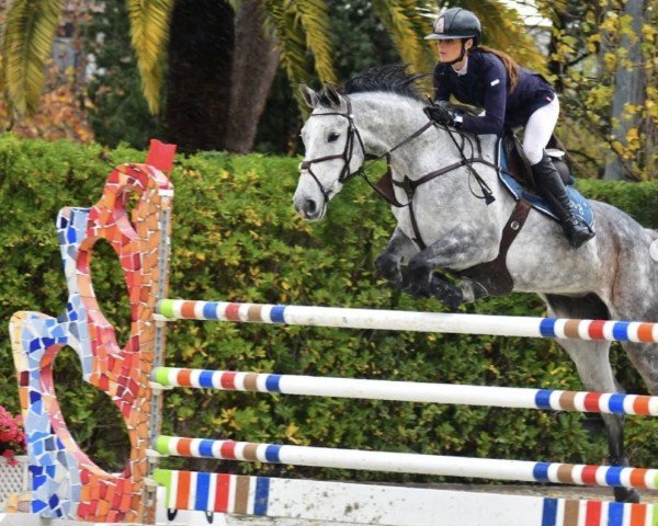 jumper Jamaica (KWPN (Royal Dutch Sporthorse), 2014, from Up To Date)
