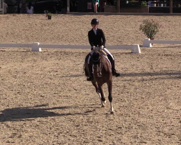Reitturnier Uder, Reitanlage Kobold 2025