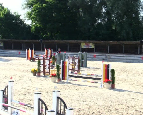 Reitturnier Ingolstadt-Hagau/Obb. 2025