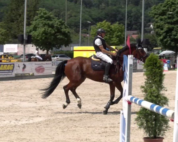 Reitturnier Balsthal 2025