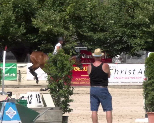 Reitturnier Balsthal 2025