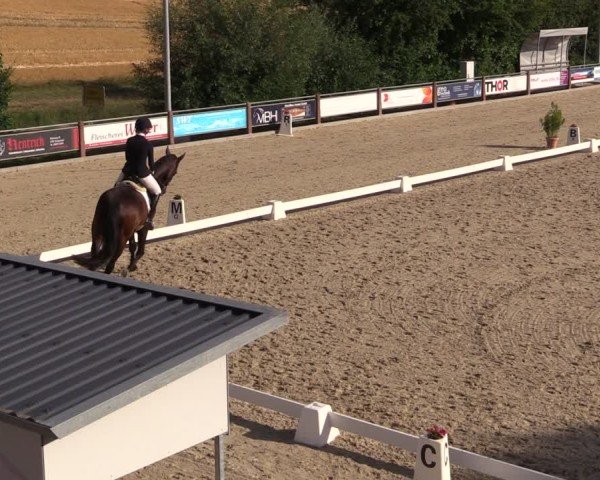 Reitturnier Uder, Reitanlage Kobold 2025