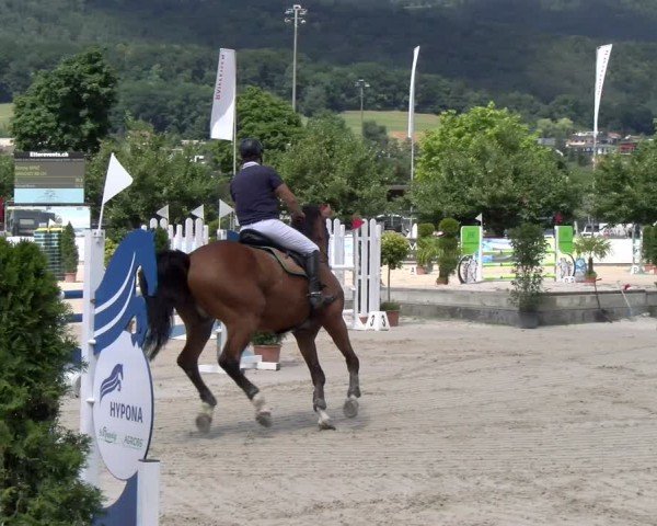 Reitturnier Balsthal 2025