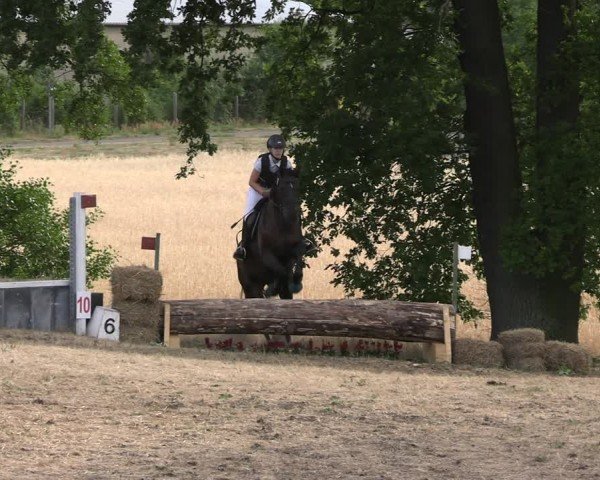 Reitturnier Niederwerbig 2025
