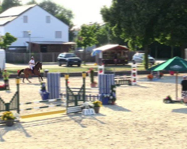 Reitturnier Ingolstadt-Hagau/Obb. 2025