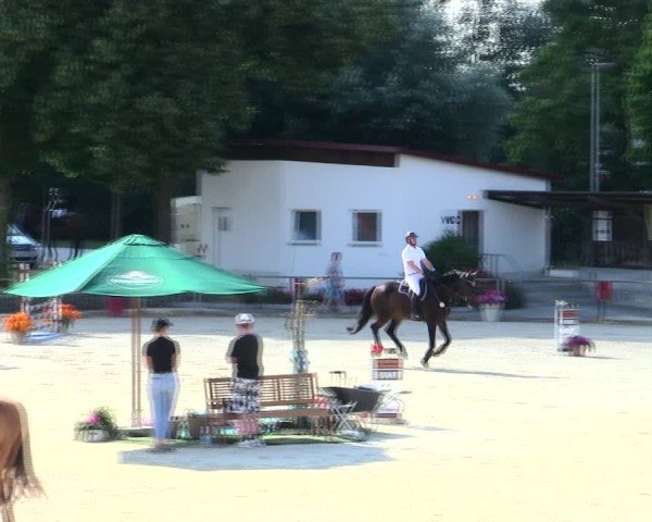 Reitturnier Ingolstadt-Hagau/Obb. 2025