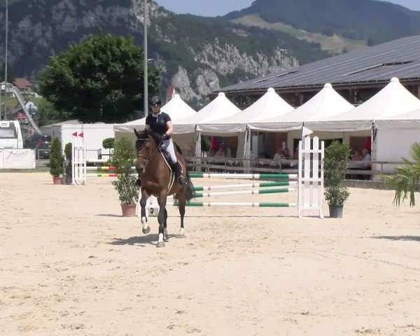 Reitturnier Balsthal 2025