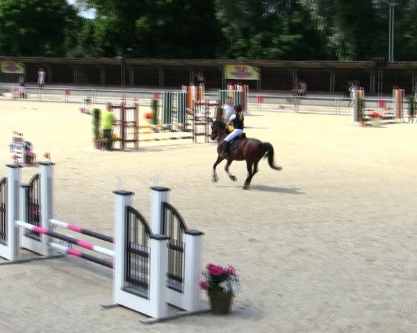 Reitturnier Ingolstadt-Hagau/Obb. 2025