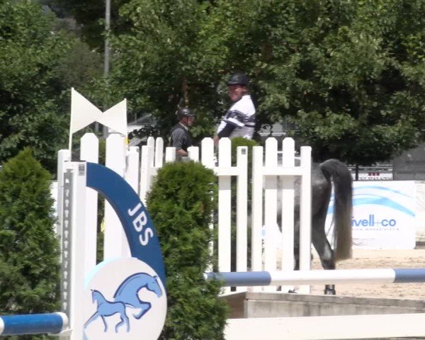 Reitturnier Balsthal 2025
