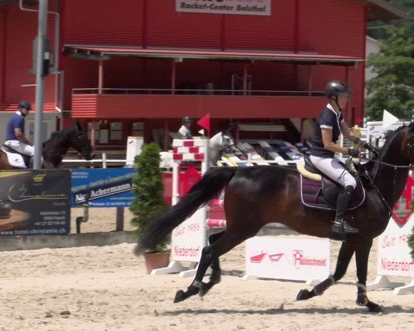 Reitturnier Balsthal 2025