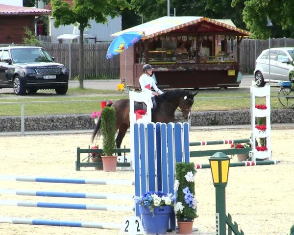 Reitturnier Ingolstadt-Hagau/Obb. 2025