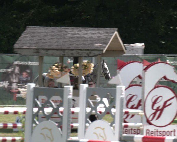Reitturnier Wohlesbostel 2025