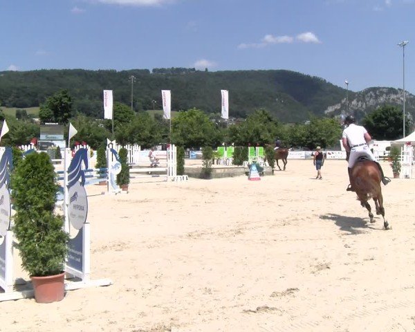 Reitturnier Balsthal 2025