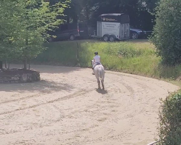 Reitturnier Auf der Gethe in Sprockhövel 2025
